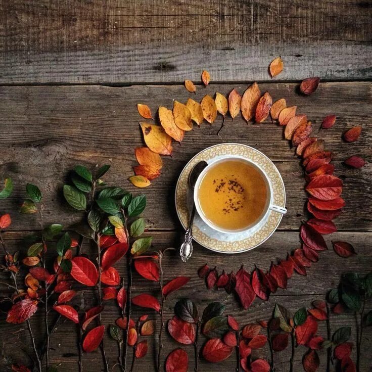 Картинка доброе утро стильная осенняя Pin by лариса батыргареева on Осенняя Fall, Autumn tea, Autumn theme