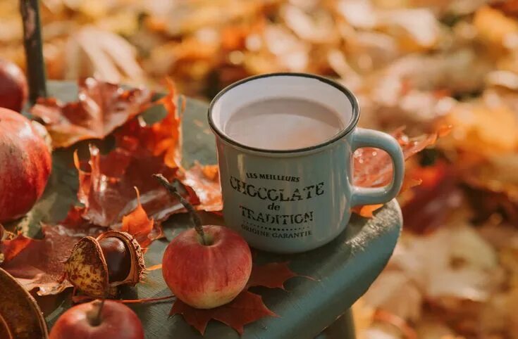 Картинка доброе утро стильная осенняя 6 Autumn-Flavored Drinks You’ll "Fall" In Love With! Apple picture, Autumn flavo