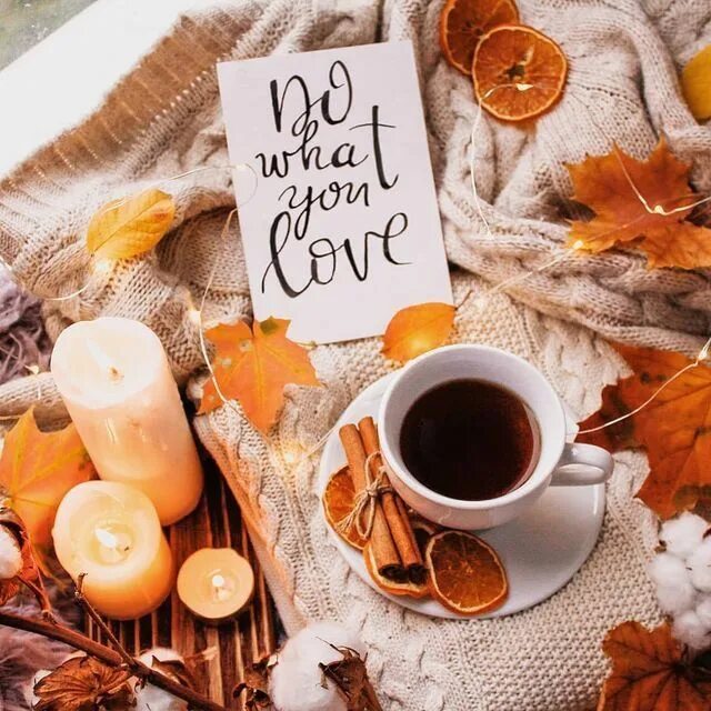 Картинка доброе утро стильная осенняя Pin on Aesthetics Organizados por tema Autumn phone wallpaper, Autumn photograph