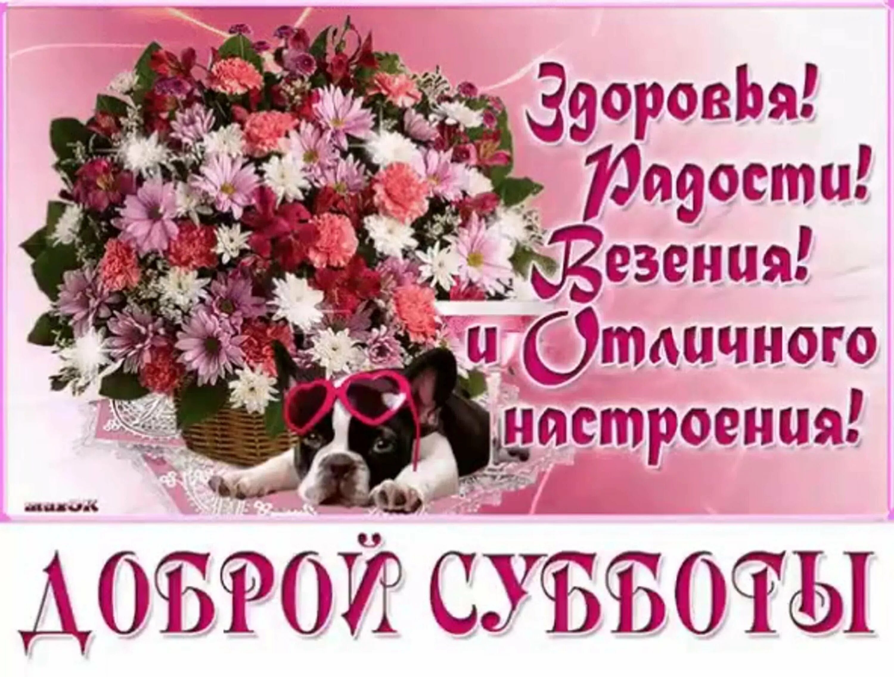 Картинка доброе утро суббота выходные прикольная С добрым утром хороших выходных - Открытка с субботой и хороших выходных (50 фот