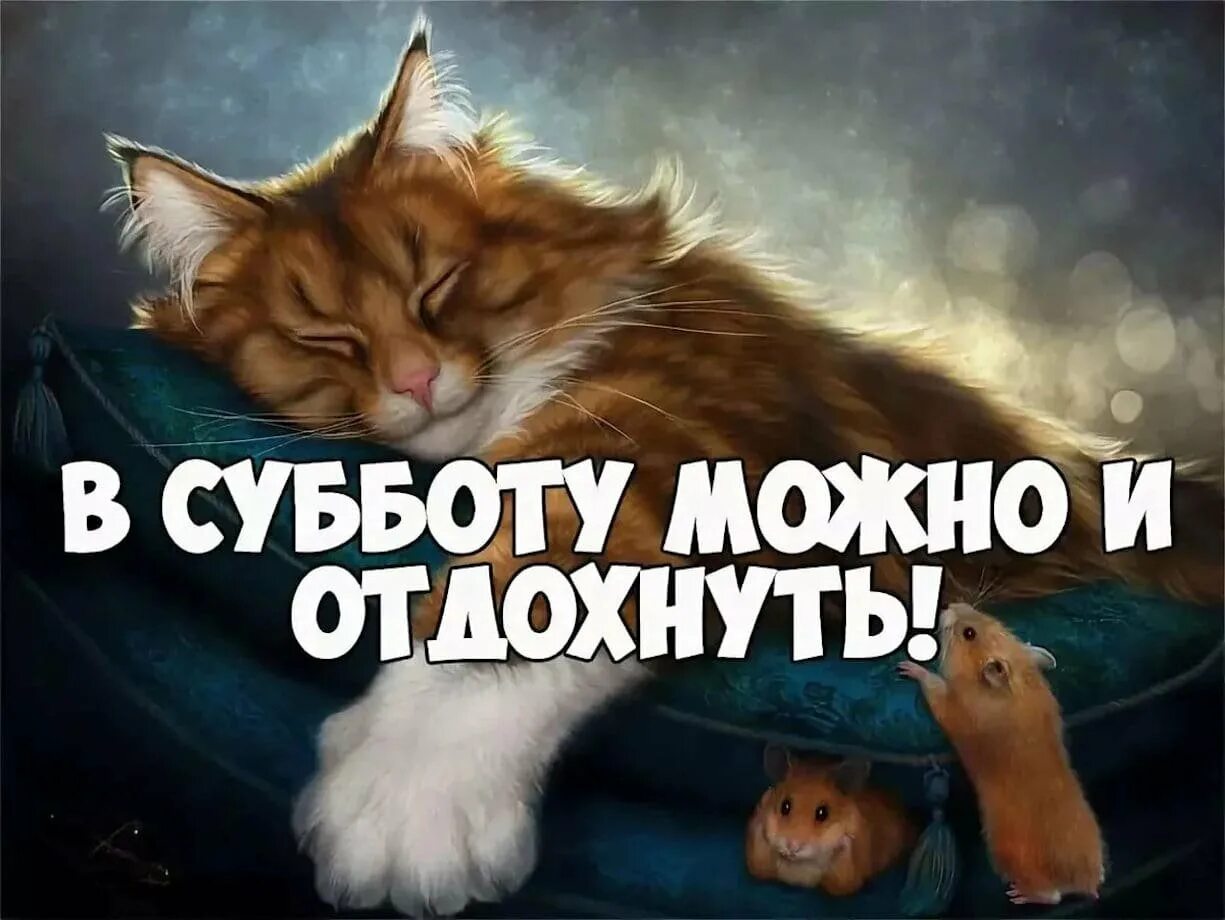 Картинка доброе утро суббота выходные прикольная Юмор - Страница 937 - Курилка - Форум по радиоэлектронике