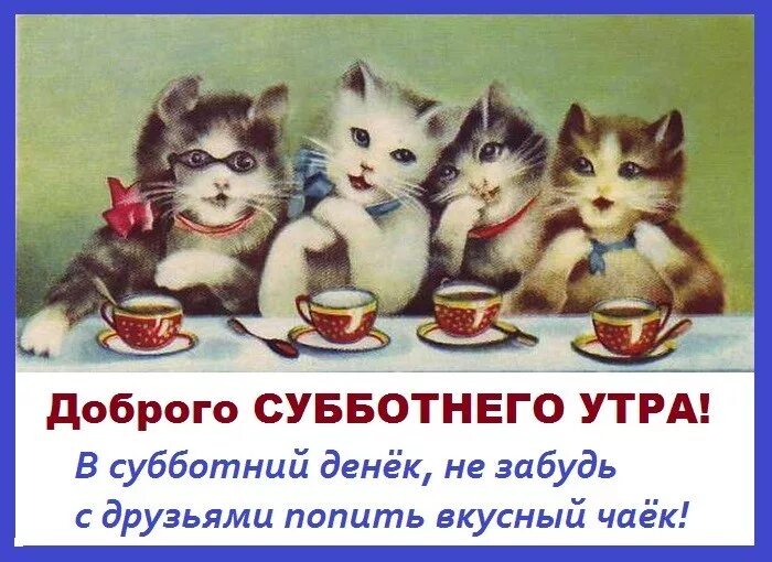 Картинка доброе утро суббота выходные прикольная Картинка - Доброго субботнего утра!
