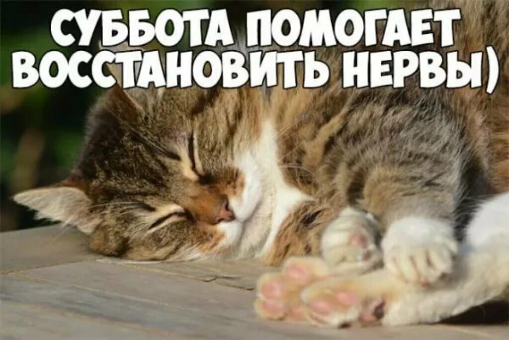 Картинка доброе утро суббота выходные прикольная #9372 post - Жесть Волгограда (QrrZGGjIo3GjSM7r)