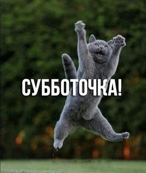 Картинка доброе утро суббота выходные прикольная Pin by Tamara on Доброе утро Good morning photos, Inspirational words, Spirit an