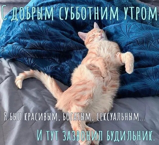Картинка доброе утро субботнего дня прикольные Доброе утро! 2023 SELFIE NV Общение Нижневартовск ВКонтакте