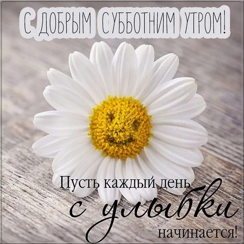 Картинка доброе утро субботнего дня прикольные Доброе утро! Суббота , суббота, суббота - чудесный повод порадоваться жизни и во