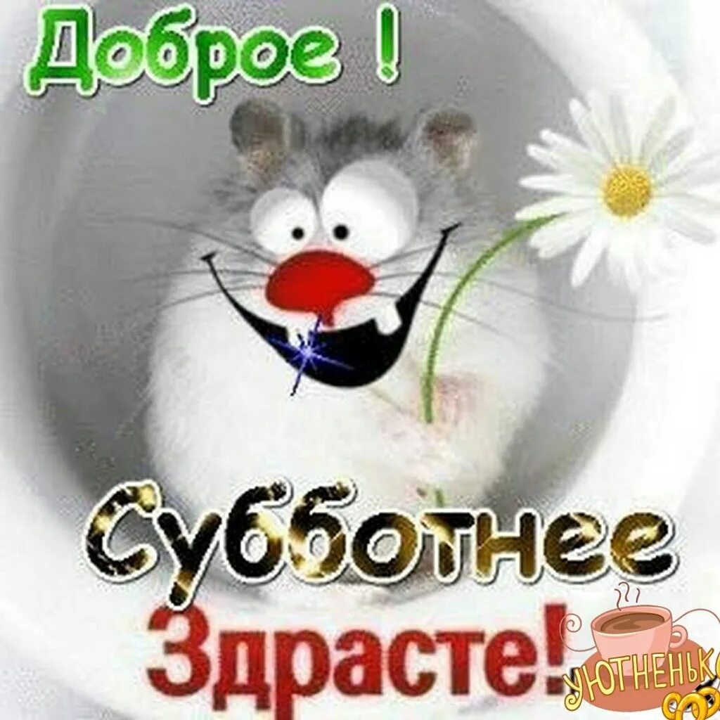 Картинка доброе утро субботнего дня прикольные ПРИВЕТСТВИЯ и ПОЖЕЛАНИЯ, открытки на каждый день. - 10 ноября 2018 в 09:48