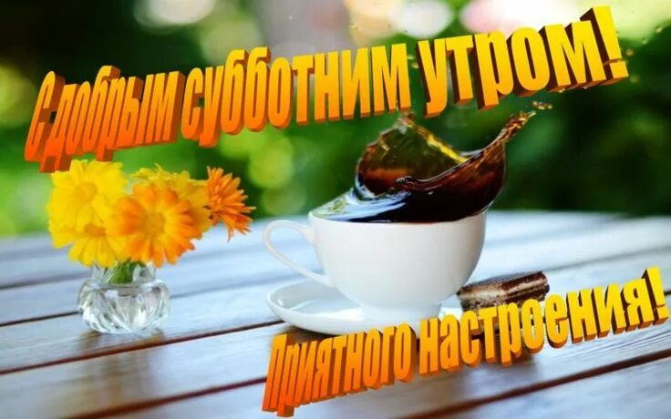 Картинка доброе утро субботнего дня прикольные Картинки "Субботнее утро" (38 фото) Доброе утро, Картинки, Юмор