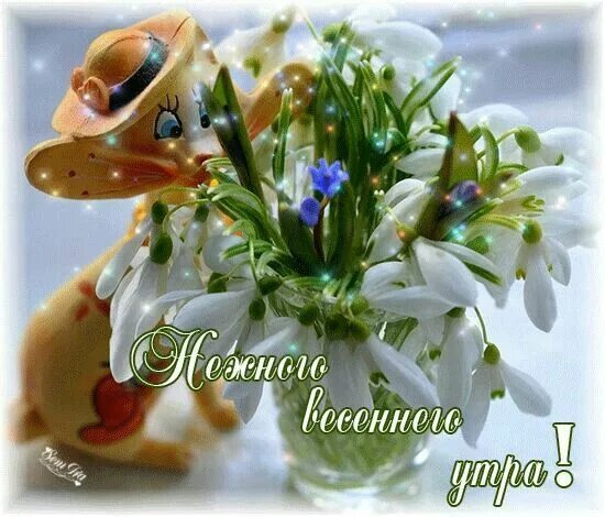 Картинка доброе утро весны прикольные Пин от пользователя Оксана Кузнецова на доске Доброе утро Открытки, Доброе утро,
