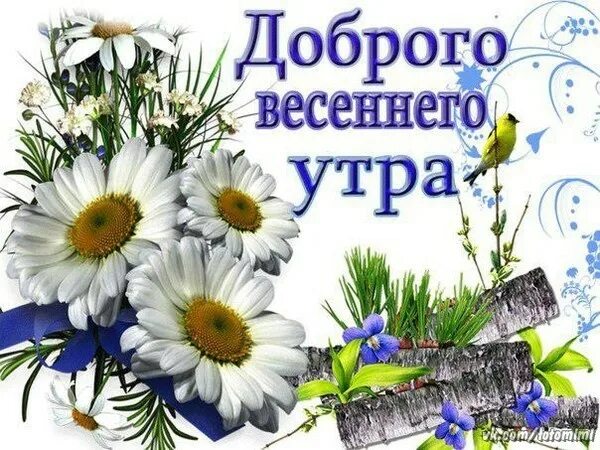 Картинка доброе утро весны прикольные Пусть каждое утро будет для вас добрым. - Анна, пользователь Anna Sabina Группы 