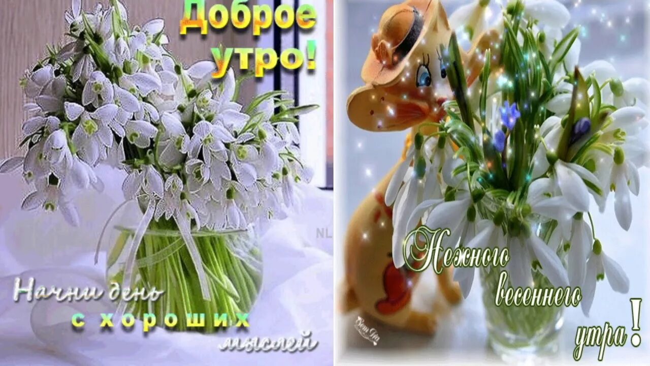 Картинка доброе утро весны прикольные Доброе мартовское утро музыкальные - найдено 90 картинок