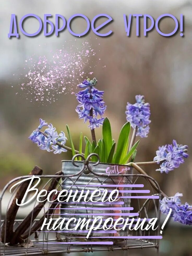 Картинка доброе утро весны прикольные Pin by Natalia-Perova on 1сторис Good morning cards, Good morning, Greetings
