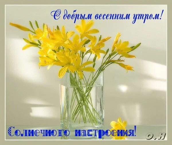 Картинка доброе утро весны прикольные Открытка Доброе утро