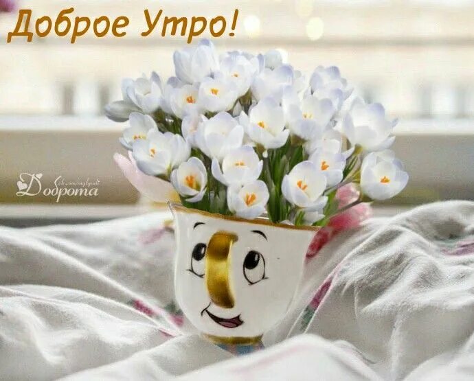 Картинка доброе утро весны прикольные Pin de Леди Ди em доброе утро))