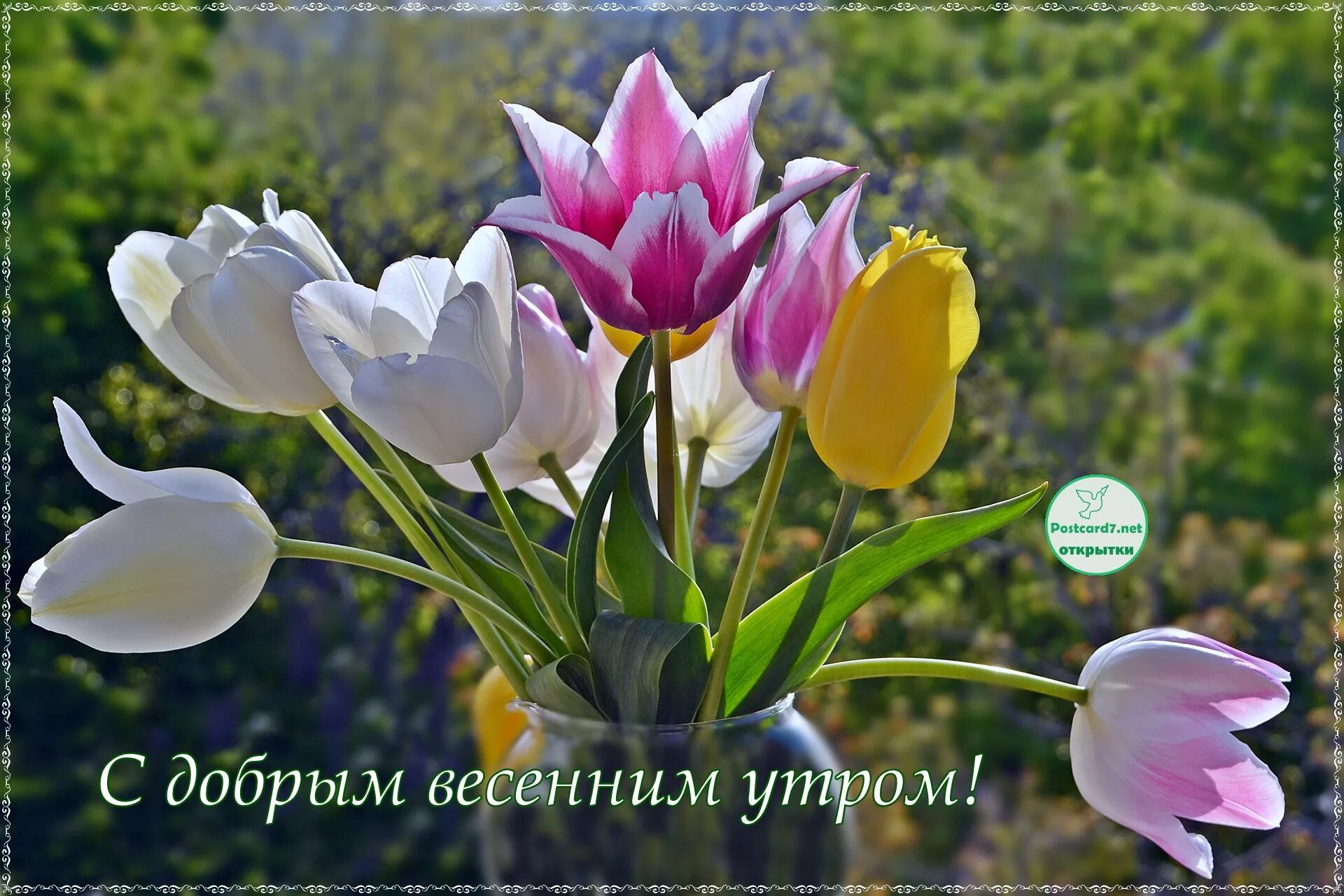 Картинка доброе утро весны прикольные Картинка С Добрым Утром Прикольная Весенняя - 64 фото