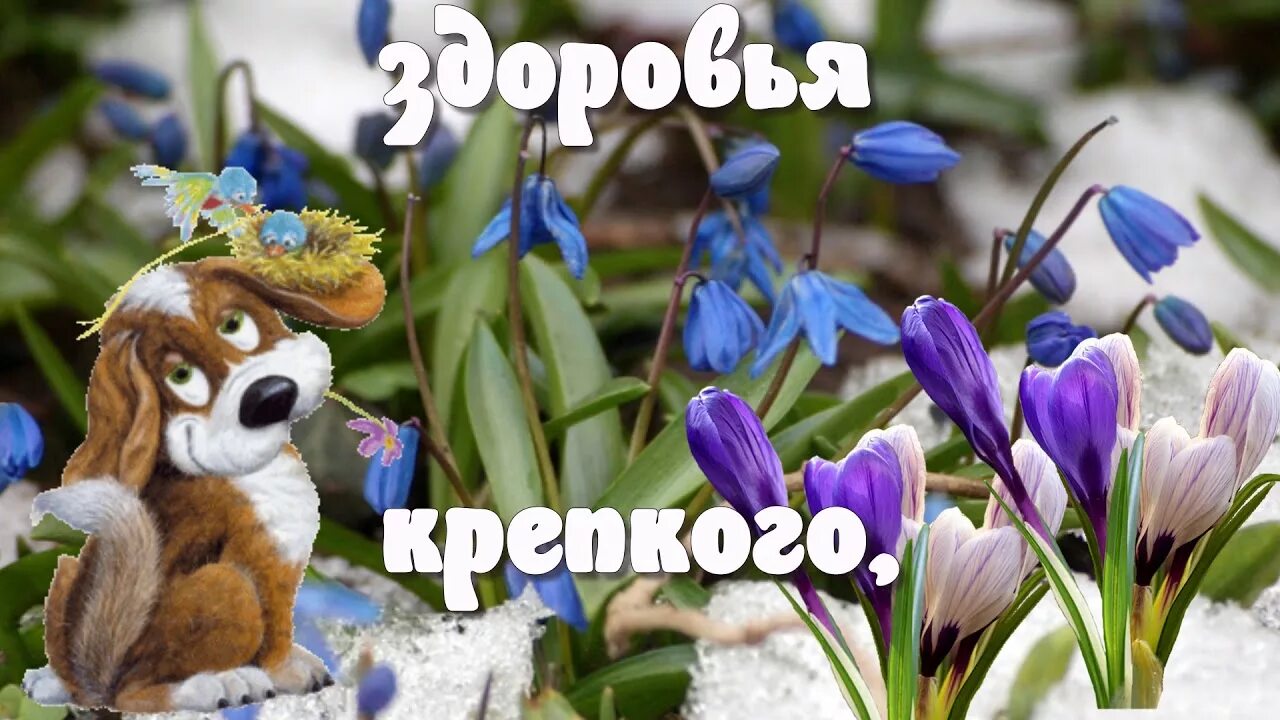 Картинка доброе утро весны прикольные Доброе утро! ❤ Весеннего Вам настроения! ❤ Красивое весеннее пожелание ❤ - YouTu