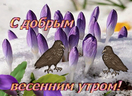 Картинка доброе утро весны прикольные Анимированная открытка С добрым весенним утром
