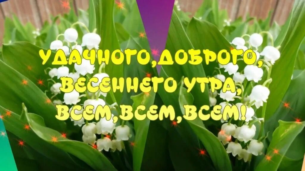 Картинка доброе утро весны прикольные ☀ ☀ ☀ #доброеутро_говориттроицк 2023 Говорит ТРОИЦК ВКонтакте
