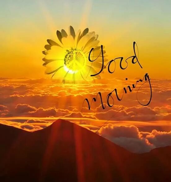 Картинка доброе утро восход красиво Pin on Good morning Morning pictures, Good morning world, Good morning images