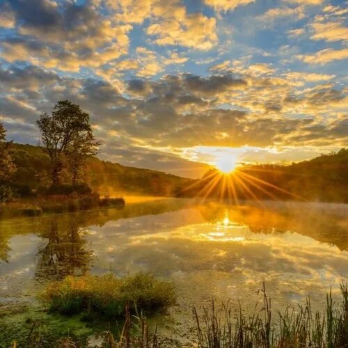 Картинка доброе утро восход красиво Listen to music albums featuring Night freshness by Anatoly online for free on S