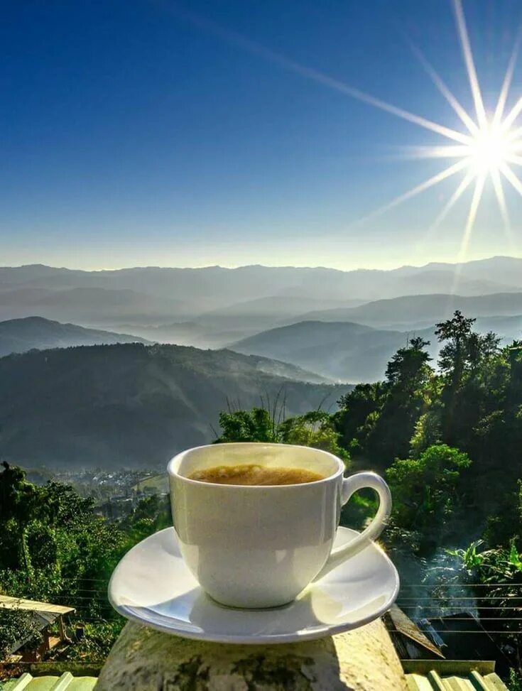 Картинка доброе утро восход красиво Pin by Lilya Nizhnik on Coffee ☕ ️♥ Coffee shop photography, Coffee photography, 