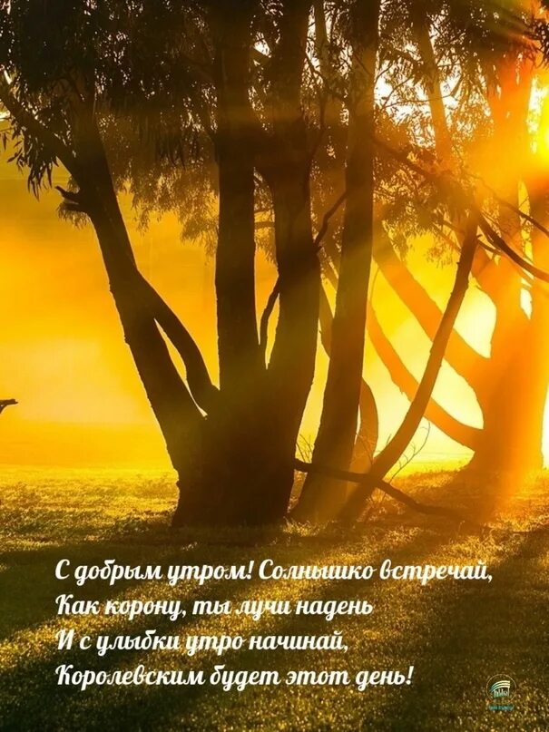 Картинка доброе утро восход красиво Какое доброе утро сегодня! Лишь только новый день открыл свои глаза, и - понесло