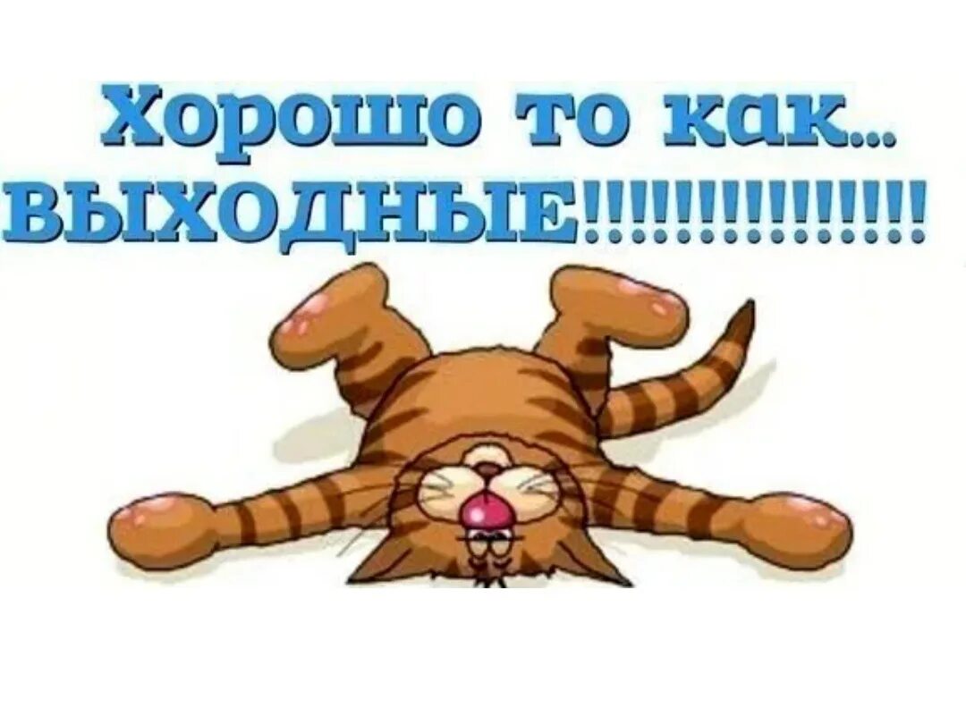 Картинка доброе утро выходные прикольные Навеяло в пятницу, ожидание выходных (Сергей Петров 73) / Стихи.ру