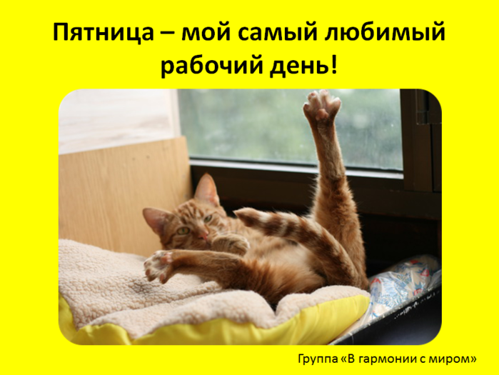 Картинка доброе утро выходные прикольные Купить лакомство для собак ТерриториЯ Амур сычуг говяжий; 40г, цены на Мегамарке
