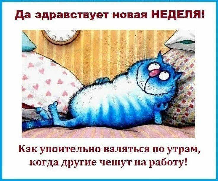 Картинка доброе утро выходные прикольные Пин на доске Colorful & active animals. Голубые кошки, Смешные котята, Кошачьи ц