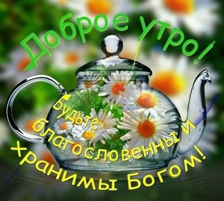 Картинка доброе утро здоровья новые Pin on Добрые пожелания Good morning, Christmas ornaments, Holiday