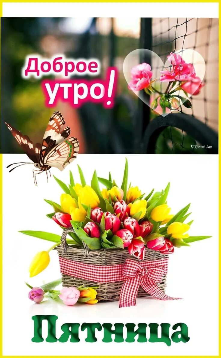 Картинка доброе утро женщине красивая пятница Пин от пользователя You Bonny на доске Ráno, deň, večer, noc Винтажные рамы, Пож