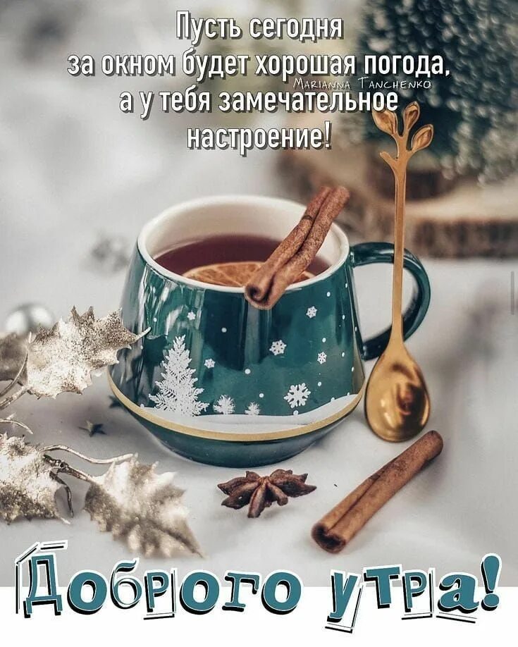 Картинка доброе утро зима прикольные Доброе утро тут Спокойной ночи on Instagram: "#доброеутро #доброеутротут #спокой