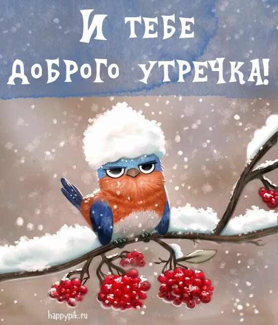 Картинка доброе утро зима прикольные Картинки С добрым зимним утром с пожеланиями. 70 картинок. Открытки, Доброе утро