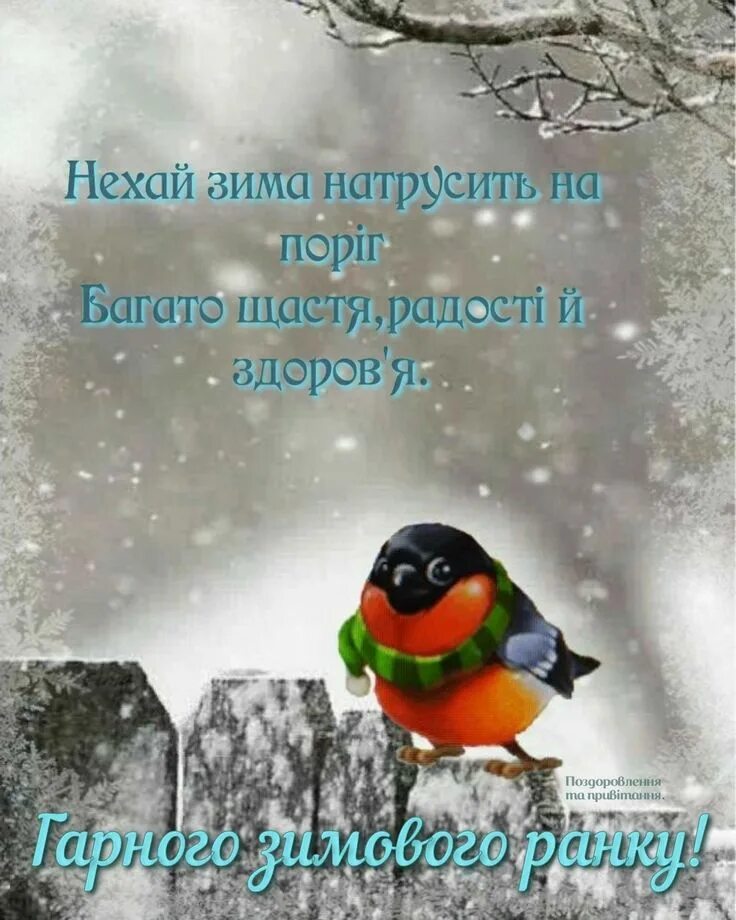 Картинка доброе утро зима прикольные Pin by Елена on Утро доброе Fish pet, Good morning, Pets