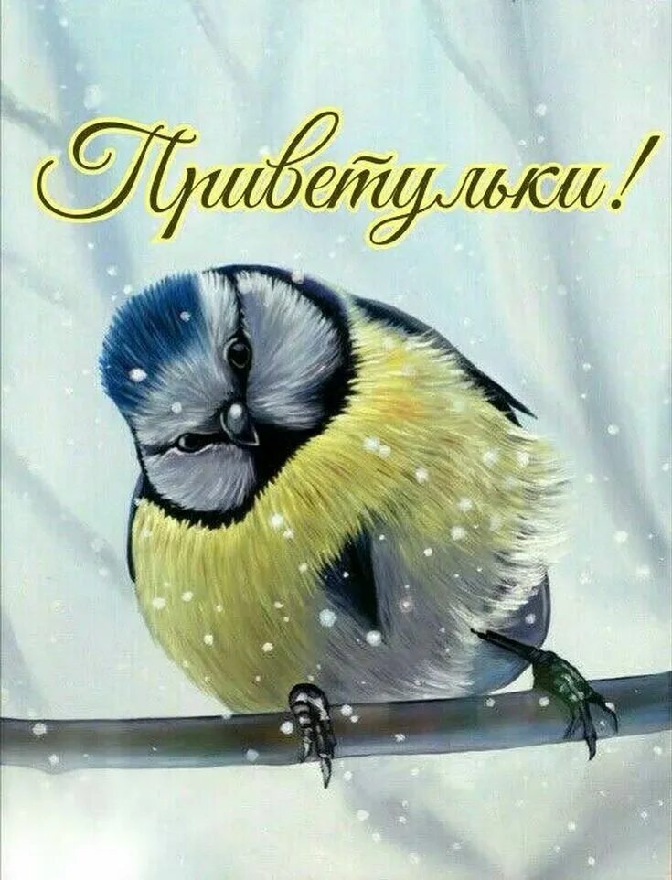 Картинка доброе утро зима прикольные Pin di Alla su Пожелашки Uccellini, Uccelli, Buongiorno