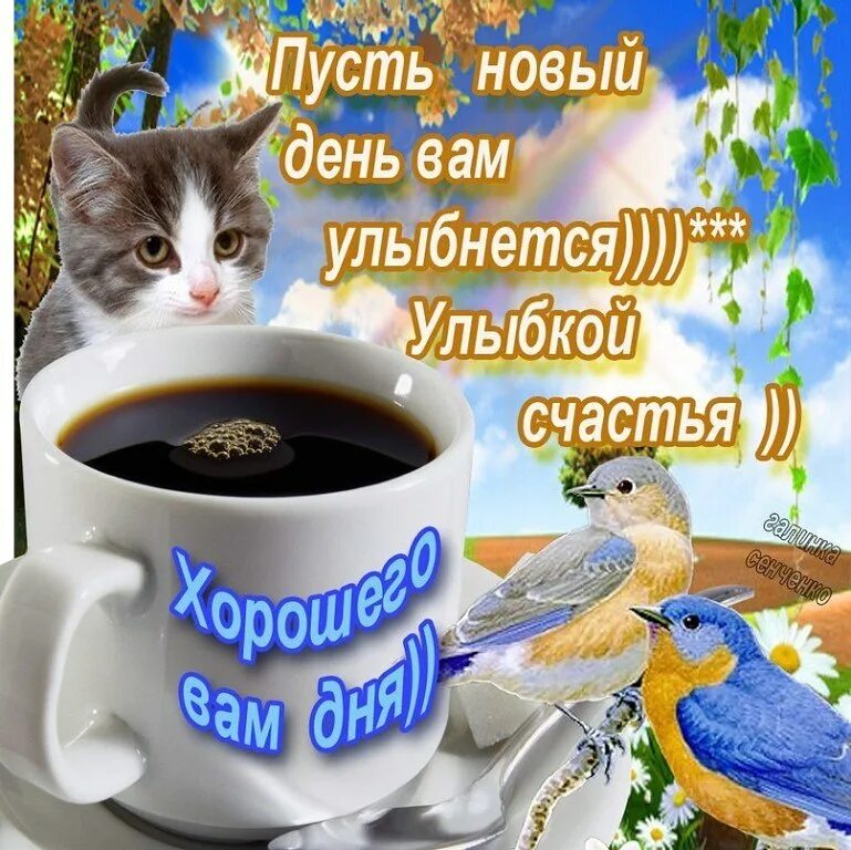 Картинка доброго дня хорошего дня мужчине ПРИВЕТСТВИЯ и ПОЖЕЛАНИЯ, открытки на каждый день. опубликовал пост от 23 июня 20