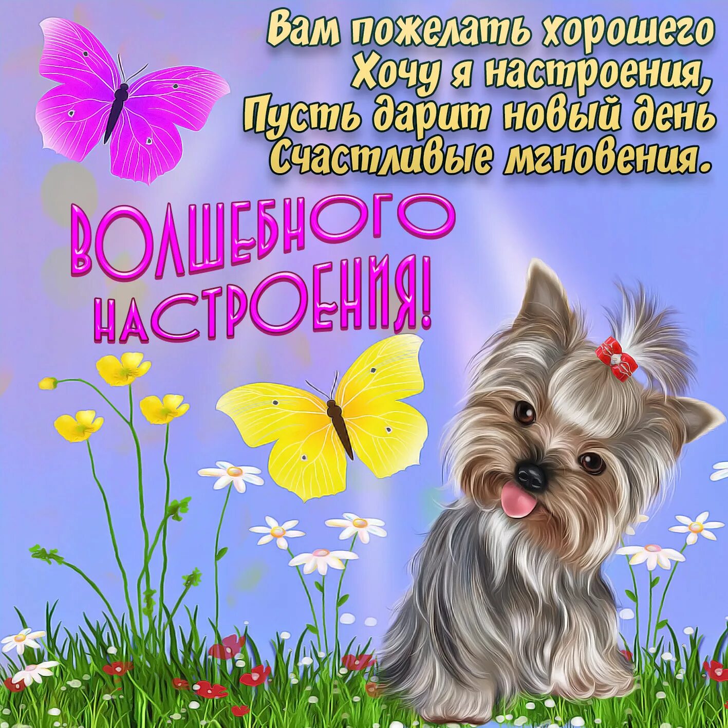Картинка доброго дня хорошего настроения с пожеланиями Прекрасного дня картинки с наилучшими пожеланиями: найдено 85 изображений