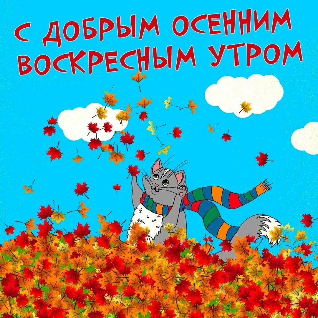 Картинка доброго дня хорошего воскресенья осень С добрым осенним воскресным утром (55 картинок)