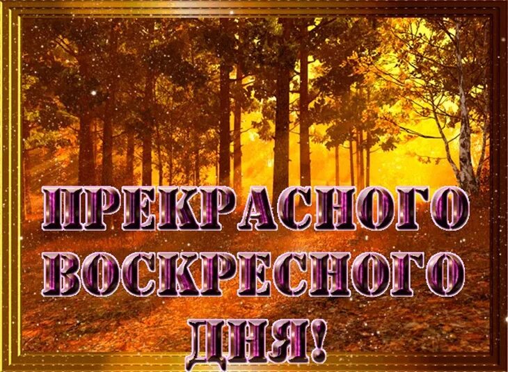 Картинка доброго дня хорошего воскресенья осень Картинки добрый день воскресенье осенние: найдено 77 изображений