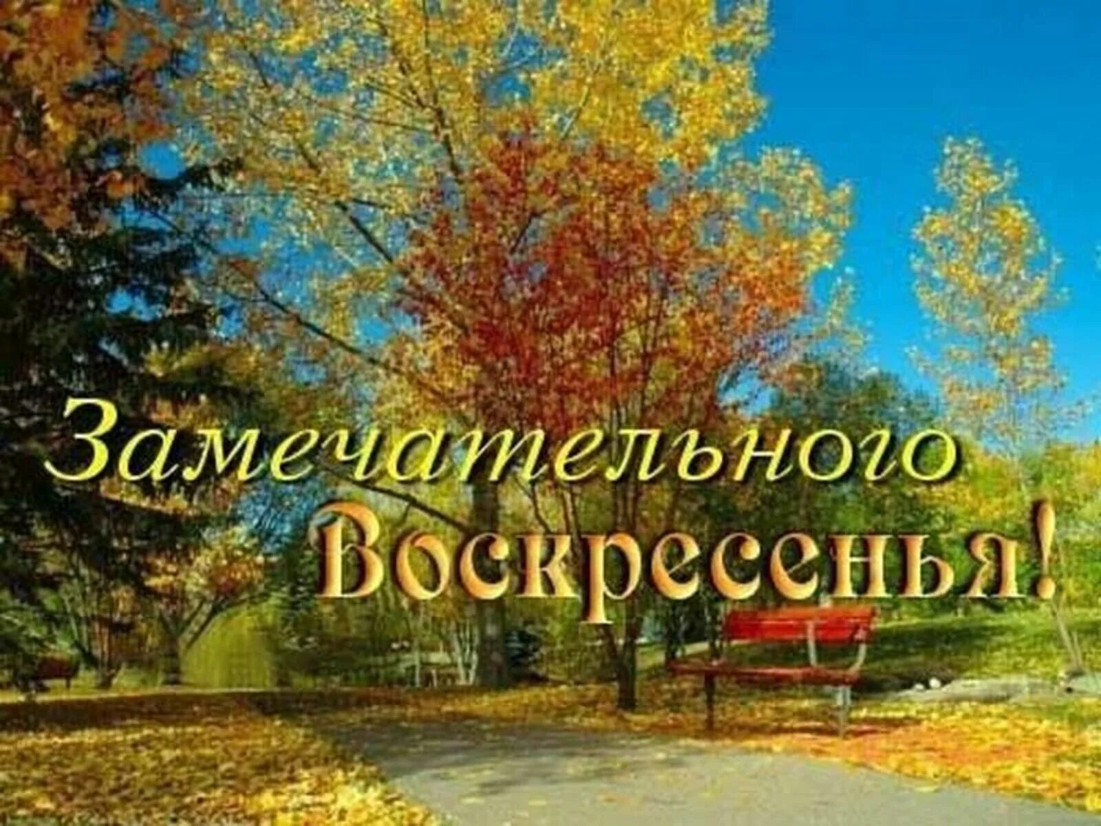 Картинка доброго дня хорошего воскресенья осень Доброе утро!