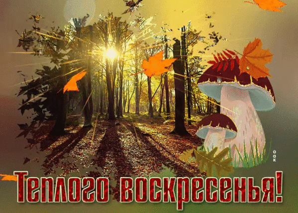 Картинка доброго дня хорошего воскресенья осень КАЛЕНДАРНЫЙ ДЕНЬ 3 ОКТЯБРЯ - Просто ДОБРОЕ УТРО , пользователь Надежда Прудников