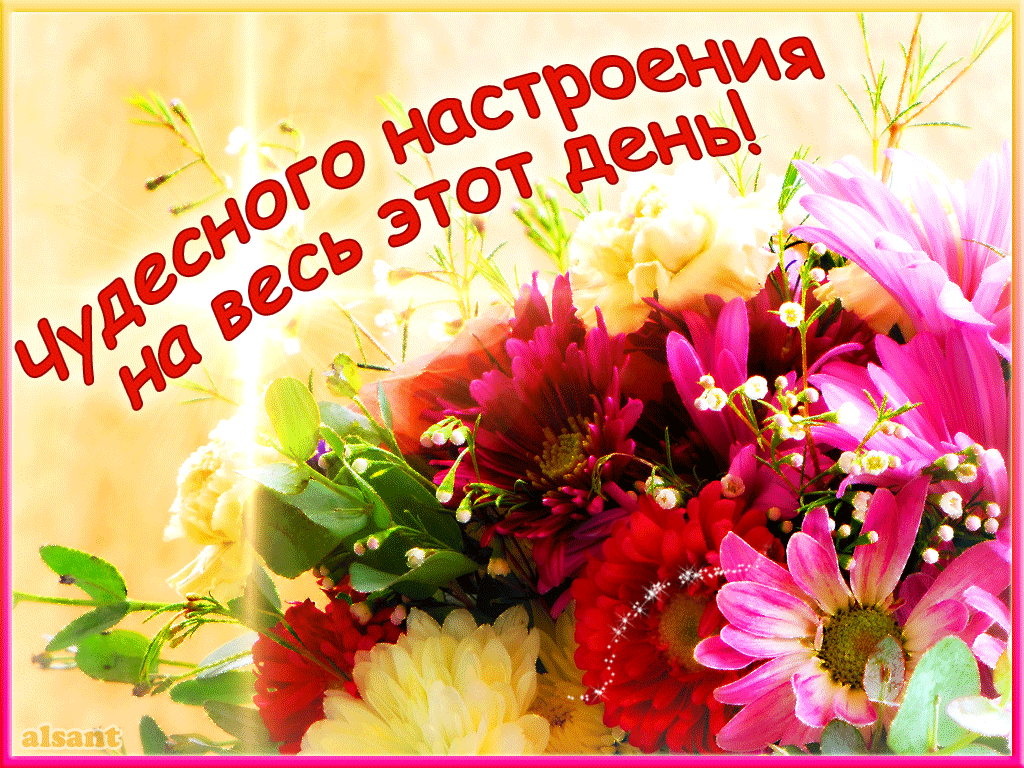 Картинка доброго дня и хорошего настроения женщине Картинки чудесного дня и отличного настроения красивые: найдено 89 изображений
