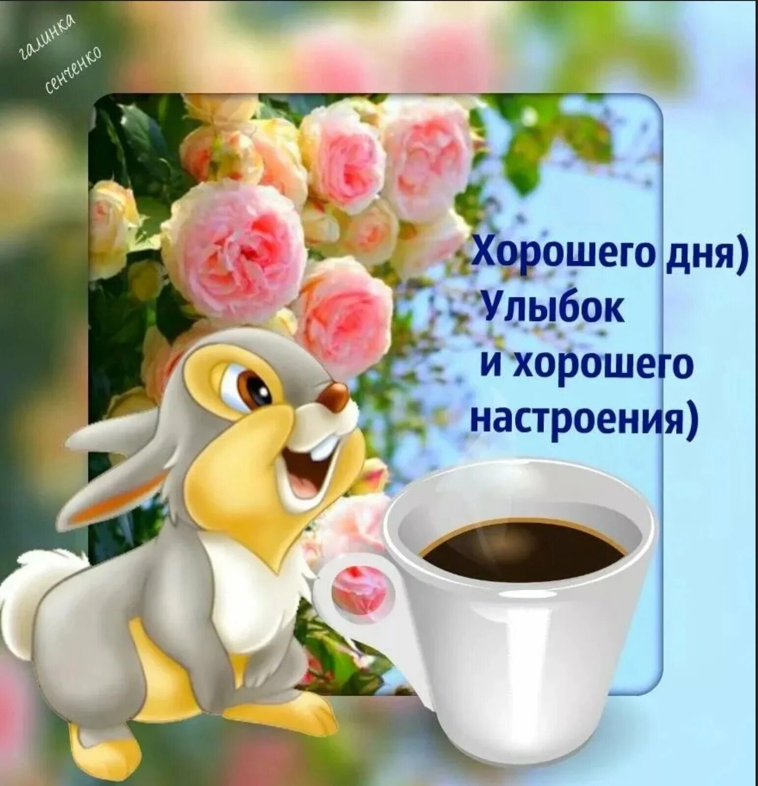 Картинка доброго дня и хорошего настроения женщине Картинки ХОРОШЕГО ДЕНЕЧКА И НАСТРОЕНИЯ КАРТИНКИ ПРИКОЛЬНЫЕ