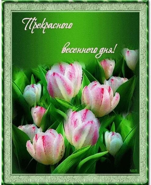 Картинка доброго дня с пожеланиями весенние Отличный весенний день - 85 фото