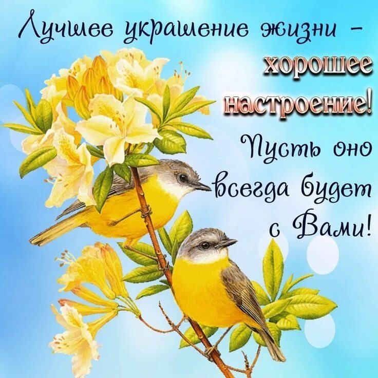 Картинка доброго дня с пожеланиями весенние Пин от пользователя Kira Lanak на доске Позитив_Радость_Счастье Доброе утро, Уро
