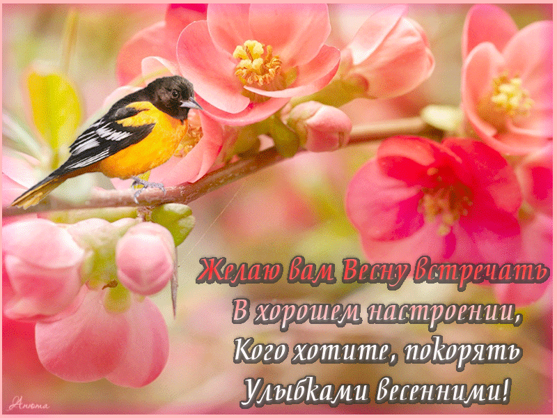 Картинка доброго дня с пожеланиями весенние С праздником Весны, коллеги!