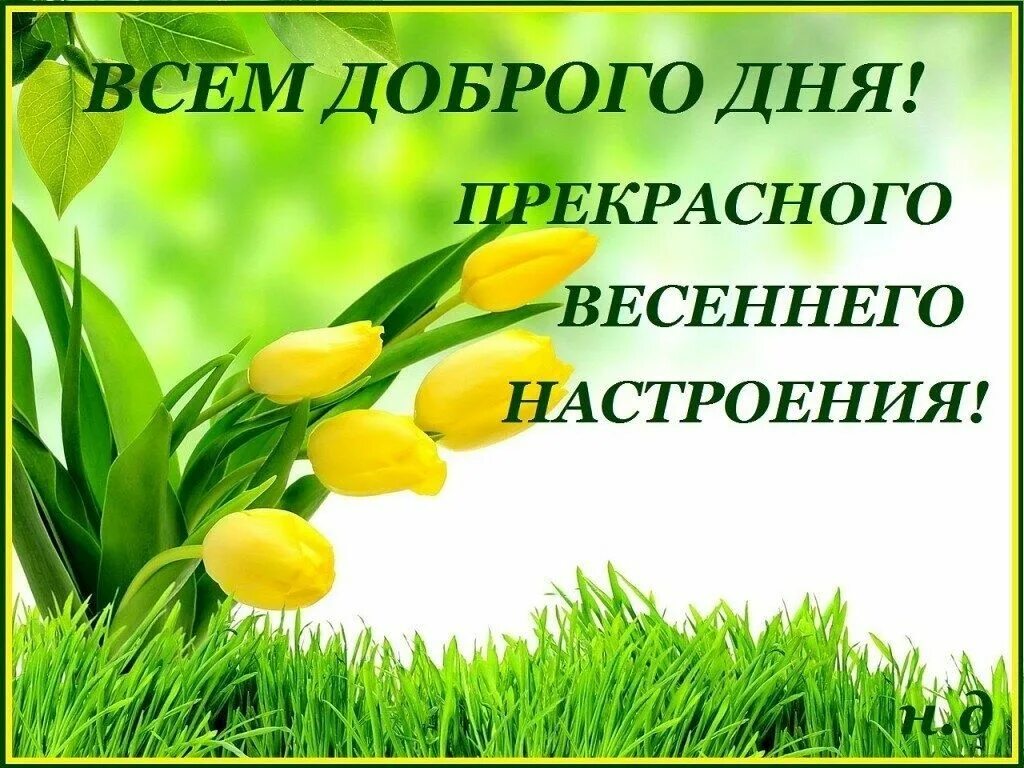 Картинка доброго дня с пожеланиями весенние Доброго всем дня!