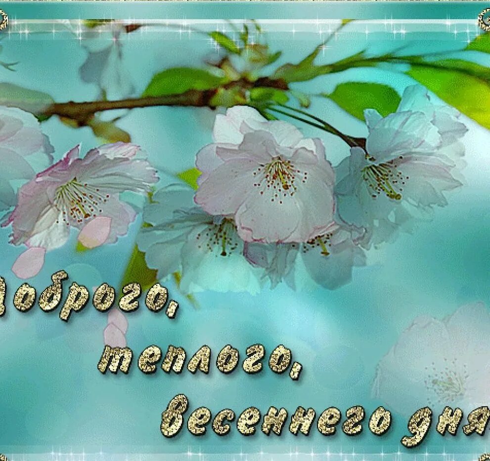 Картинка доброго дня с пожеланиями весенние Самого прекрасного весеннего дня