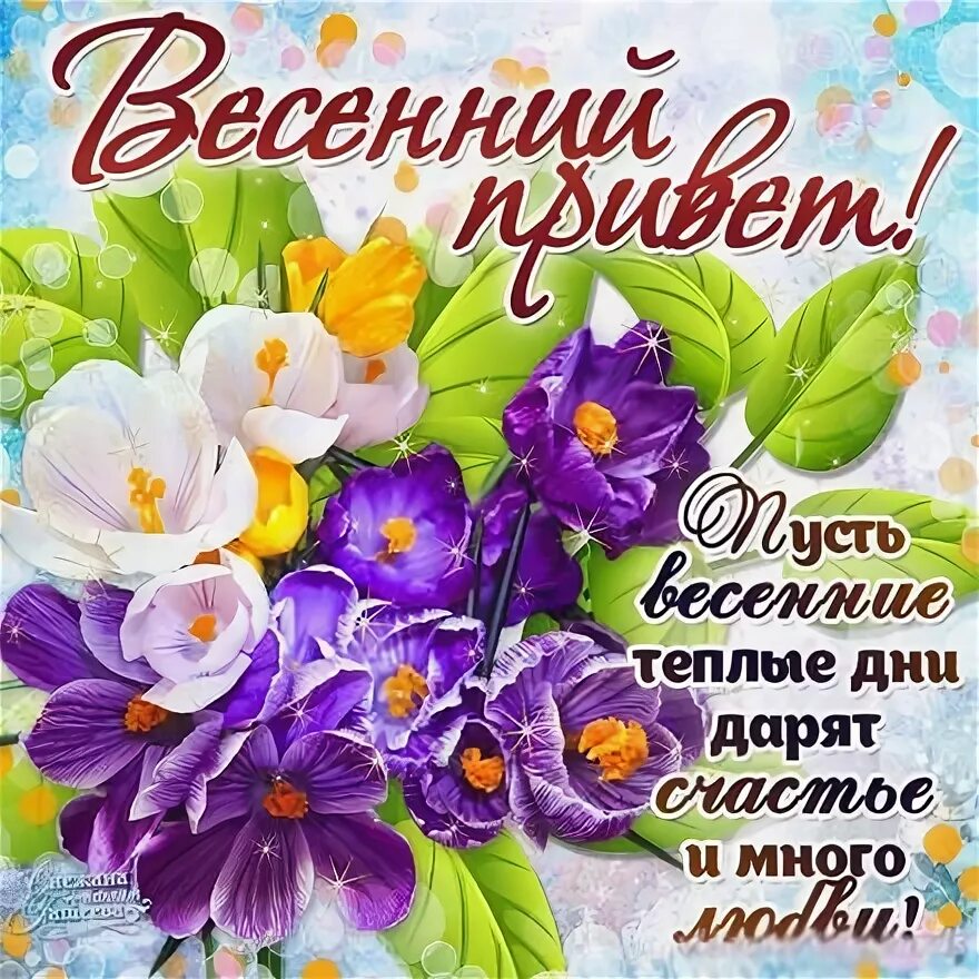 Картинка доброго дня с пожеланиями весенние Открытка, картинка, весенний привет. Открытки Открытка, картинка, весенний приве
