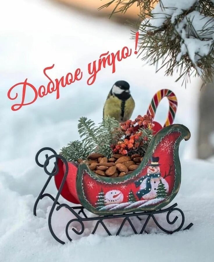 Картинка доброго нового года Pin by Елена Дыренкова on Зима Christmas ornaments, Holiday, Novelty christmas